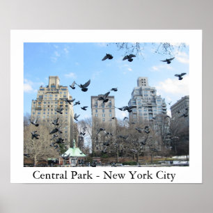 Póster Central Park - Nueva York