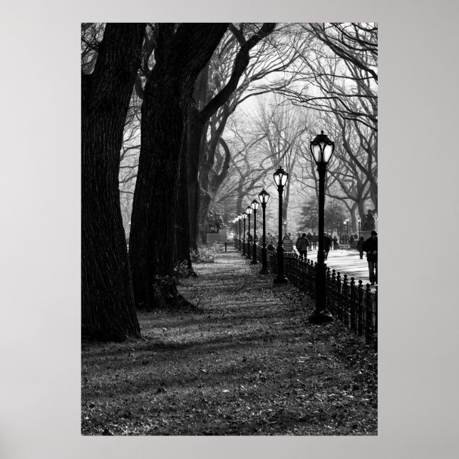 Póster Central Park, Nueva York (Frente)