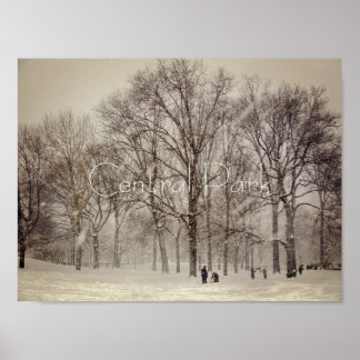 Póster Central Park, NYC