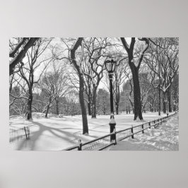 Póster Central Park Snowfall B&W