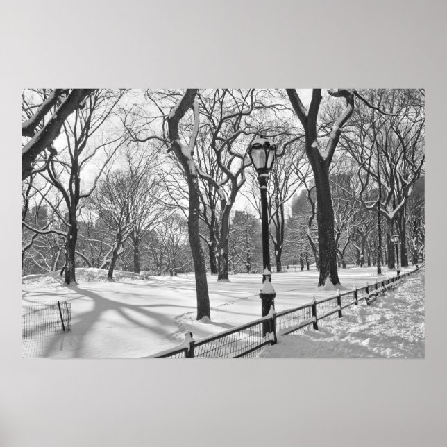 Póster Central Park Snowfall B&W (Frente)