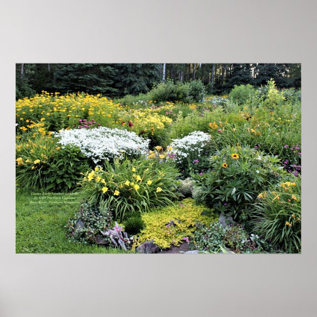 Póster Centrar jardines de verano temprano, más cerca (Frente)