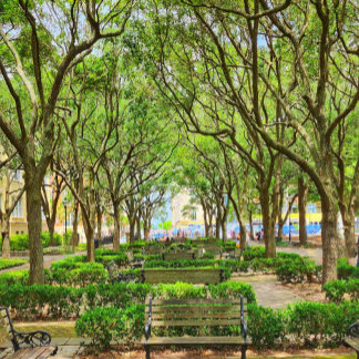 Póster Centro de Charleston, Poster del edificio SC