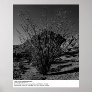 Póster Centro de investigación profundo del desierto del