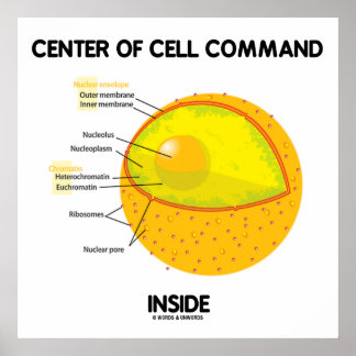 Póster Centro De Mando Celular Dentro De La Biología Del