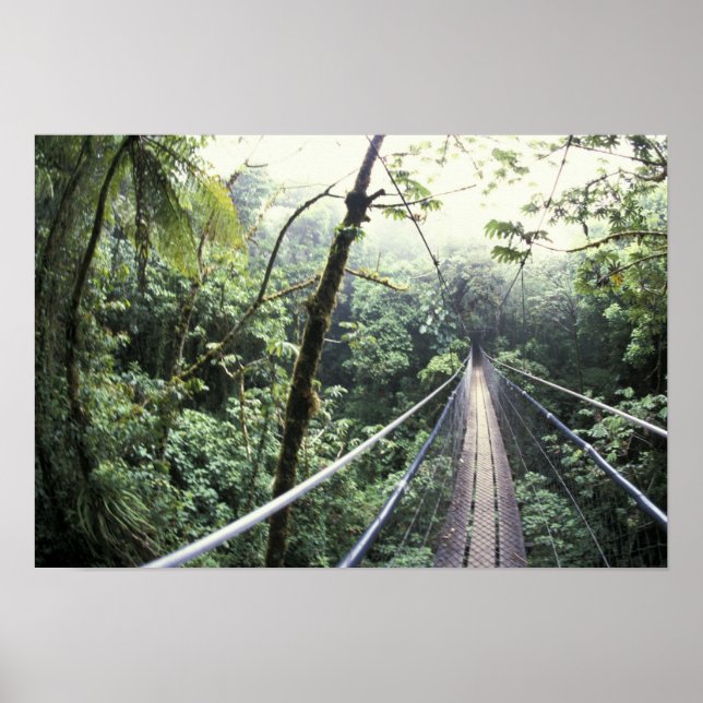 Póster Centroamérica, Costa Rica, Monteverde Cloud (Frente)