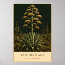 Century Plant – Vintage Botanical Illustration