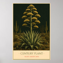 Póster Century Plant – Vintage Botanical Illustration