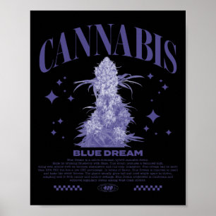 Póster Cepa híbrida Sativa de Navidad Blue Dream