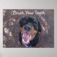 Cepillarse con los dientes Rottweiler Poster de ca