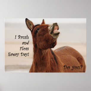 Póster Cepille y Floss sus dientes diariamente