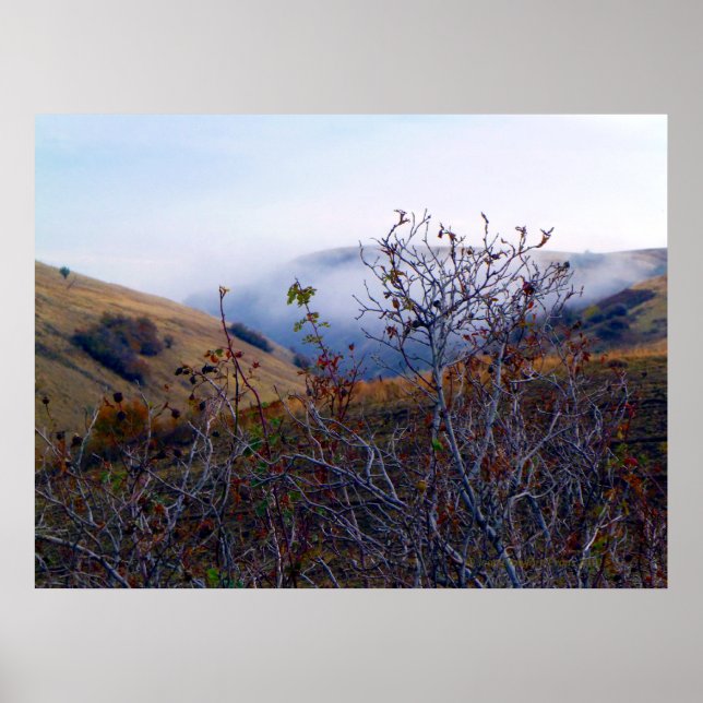 Póster Cepillo y niebla (Frente)