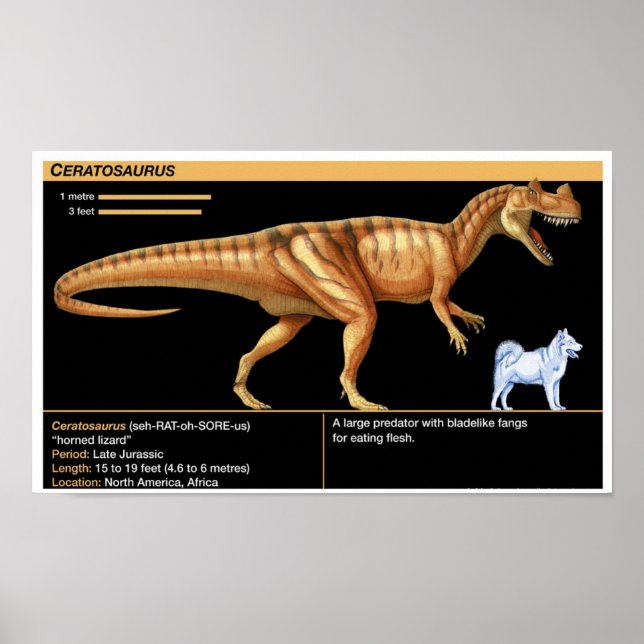 Póster Ceratosaurus - Biología Jurásico (Frente)