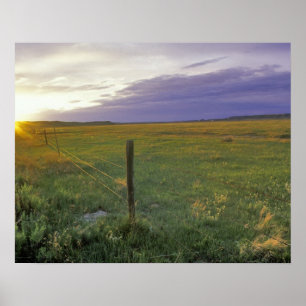 Póster Cerca de alambre de púas en el noreste de Montana