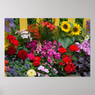 Póster Cerca de estacas amarillas con jardín de flores en