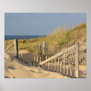 Póster Cerca de la playa en las dunas
