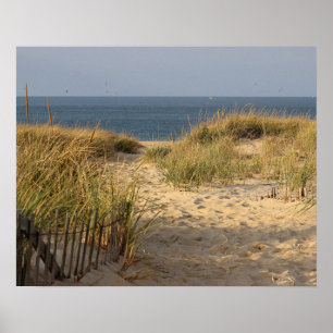 Póster Cerca de la playa en las dunas de arena