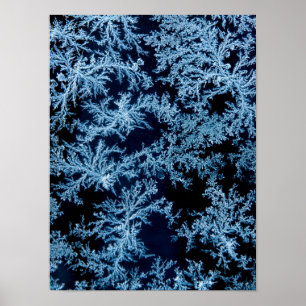 Póster Cercanías de patrones de escarcha, California
