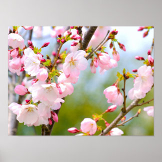 Póster Cercanías en flor