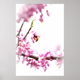 Póster Cercis y abeja melífera en primavera
