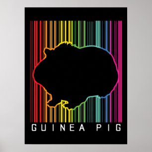 Póster Cerdo de Guinea