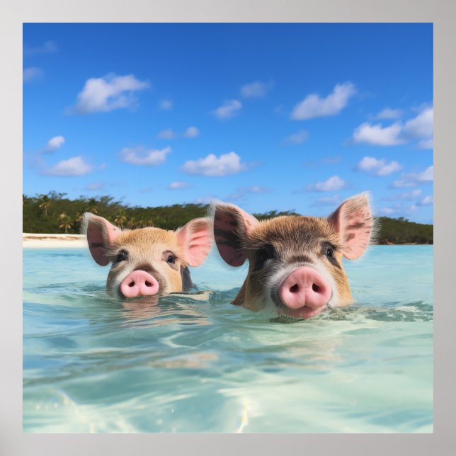 Póster Cerdo de Natación en Bahamas 2024 (Frente)