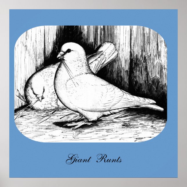 Póster Cerdo de racha gigante (Frente)