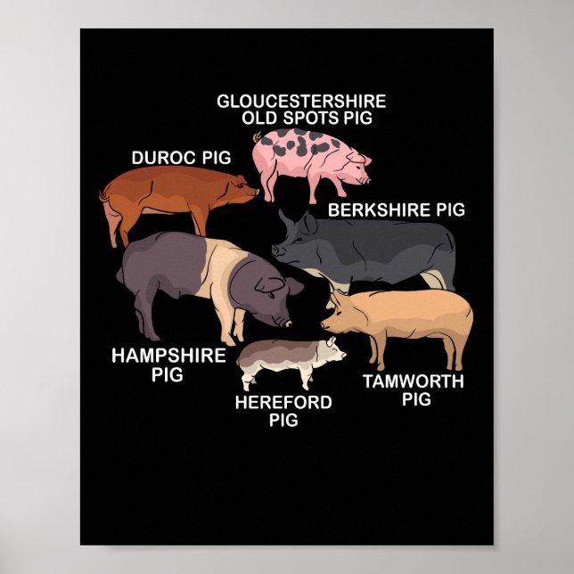 Póster Cerdo Raza Cerdo Lover Regalo Hombres Granja Cerdo (Frente)