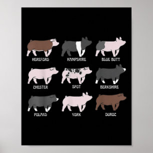 Póster Cerdo Raza Mostrar Porcino Espectáculo De Vino Esp