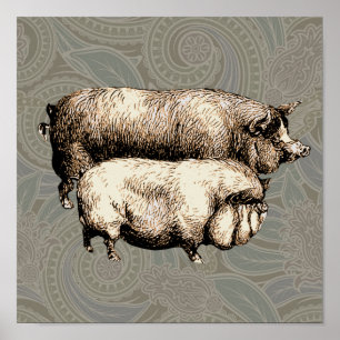 Póster Cerdos Antiguos Dibujo de cerdito vintage