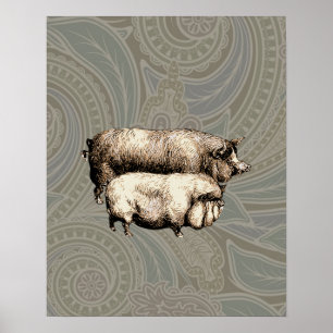 Póster Cerdos Antiguos Dibujo de cerdito vintage