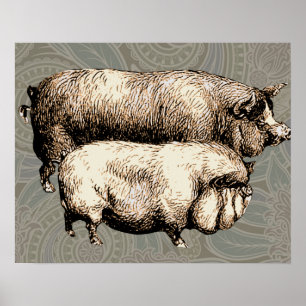 Póster Cerdos Antiguos Dibujo de cerdito vintage