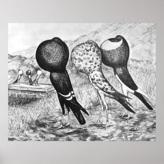 Póster Cerdos de Brunner Pouter (Frente)