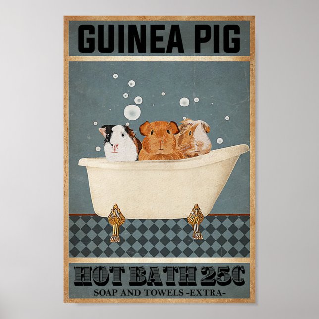 Póster Cerdos de Guinea Baño Caliente 25C (Frente)