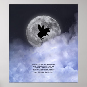 Póster Cerdos voladores nocturnos