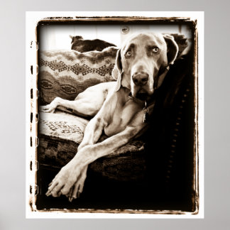 Póster Cerebello atómico: Presidente de Ballou