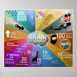Póster Cerebro por números