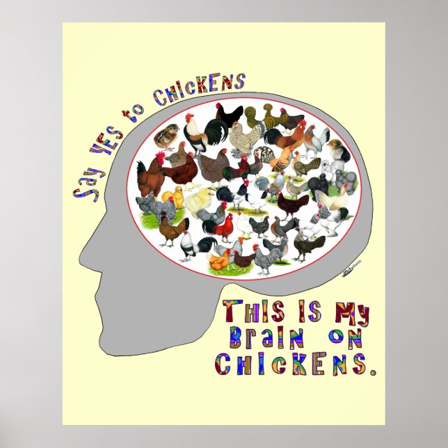 Póster Cerebro sobre pollos (Frente)