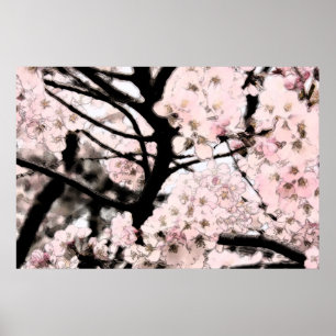 Póster Cerezo en flor editado