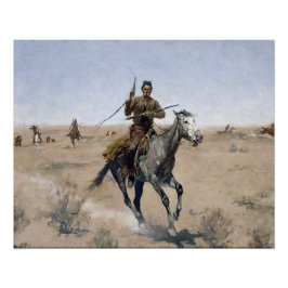 Póster Cernícalo americano occidental