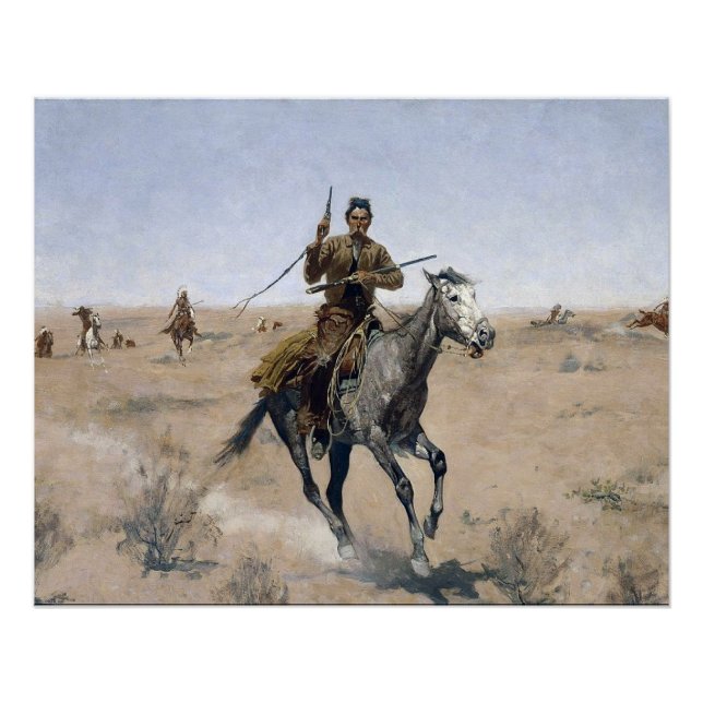 Póster Cernícalo americano occidental (Anverso)