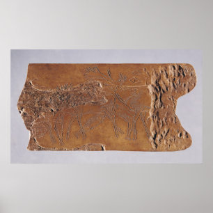 Póster Cernícalo de reno tallado con ciervo y salto