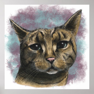 Póster Cerrar el dibujo realista del gato de tabla