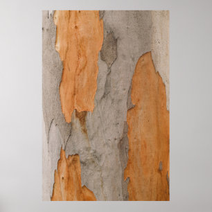 Póster Cerrar la foto del tronco del árbol