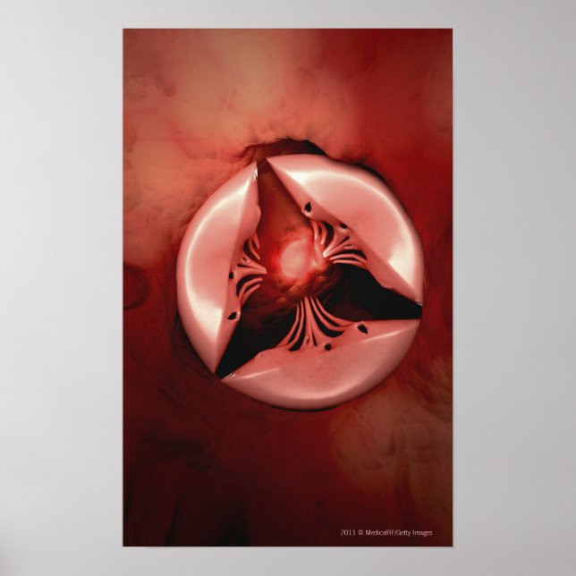 Póster Cerrar la vista de la válvula tricuspída del coraz (Frente)