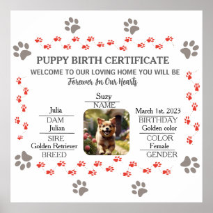 Póster Certificado de nacimiento de personalizado