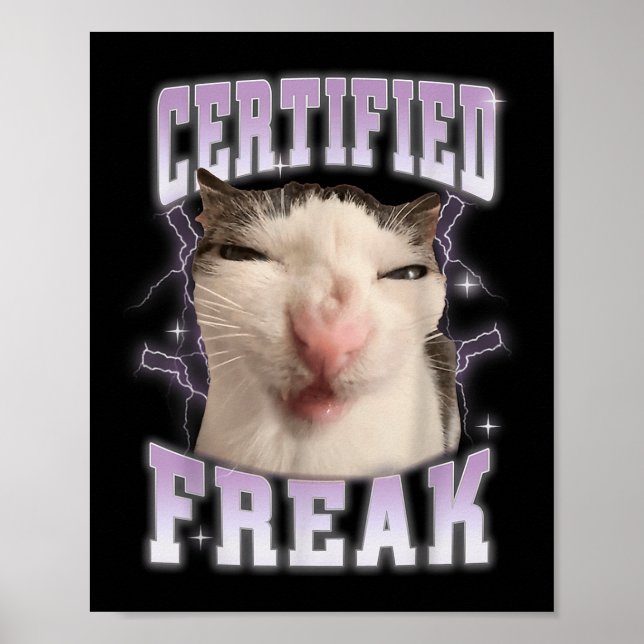 Póster Certified Freak Eat Cement Cursed Cat Funny Cats M (Frente)