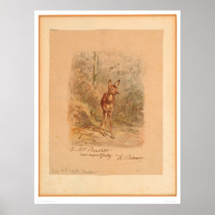 Póster Cervatillo en el bosque (0567A)