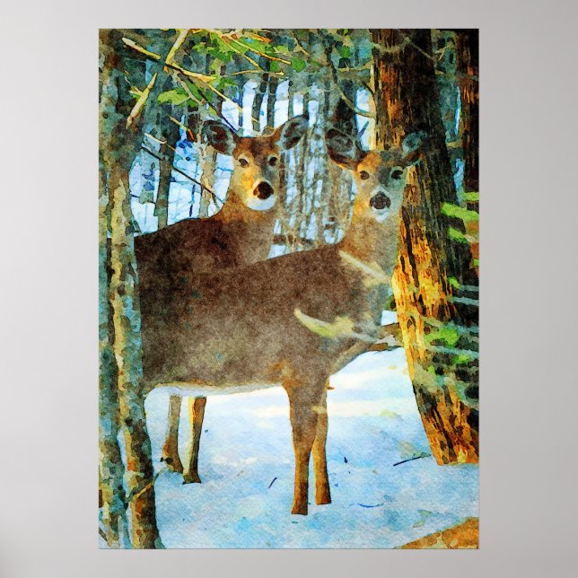 Póster Cerveza blanca en acuarela de nieve (Frente)