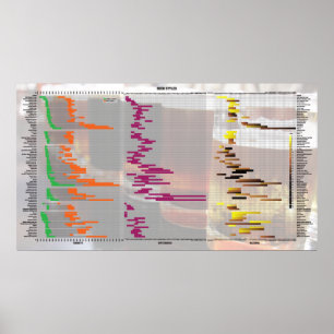 Póster Cerveza por números - Estilos